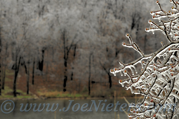 Winter Season Lake of the Ozarks