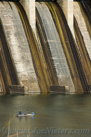 Dam Fishermen