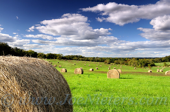 Harvest