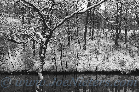 Winter on Turkey Trail